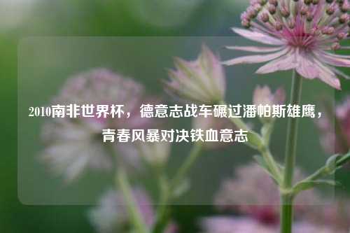 2010南非世界杯,德意志战车碾过潘帕斯雄鹰,青春风暴对决铁血意志