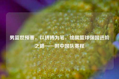 男篮世预赛,以拼搏为笔,绘就篮球强国进阶之路——附中国队赛程