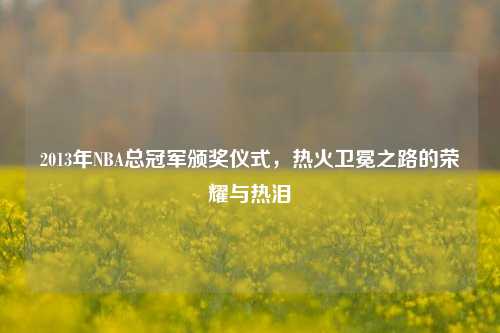 2013年NBA总冠军颁奖仪式,热火卫冕之路的荣耀与热泪