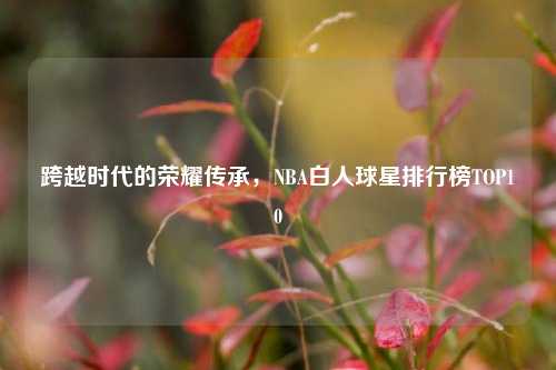 跨越时代的荣耀传承,NBA白人球星排行榜TOP10
