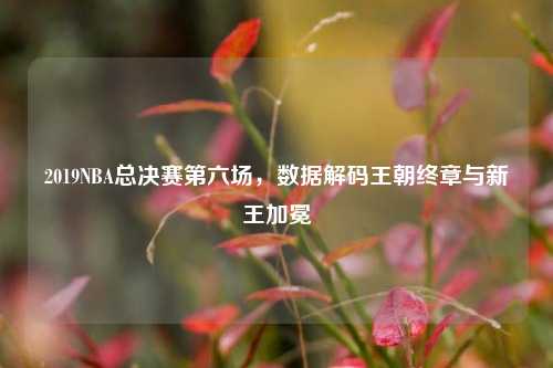 2019NBA总决赛第六场,数据解码王朝终章与新王加冕