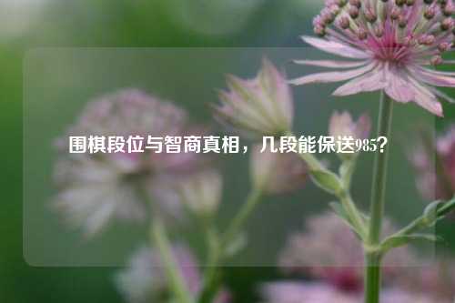 围棋段位与智商真相,几段能保送985?