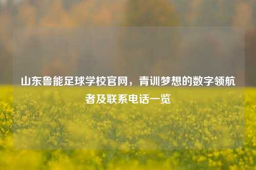 山东鲁能足球学校官网,青训梦想的数字领航者及联系 一览