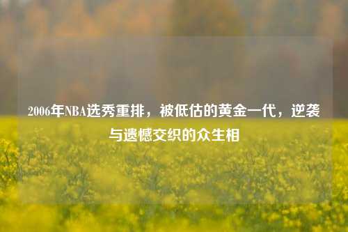 2006年NBA选秀重排，被低估的黄金一代，逆袭与遗憾交织的众生相
