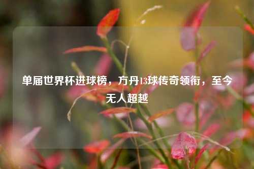 单届世界杯进球榜,方丹13球传奇领衔,至今无人超越