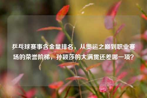 乒乓球赛事含金量排名,从奥运之巅到职业赛场的荣誉阶梯,孙颖莎的大满贯还差哪一项?