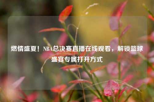 燃情盛夏!NBA总决赛直播在线观看,解锁篮球盛宴专属打开方式