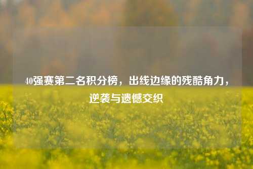 40强赛第二名积分榜,出线边缘的残酷角力,逆袭与遗憾交织