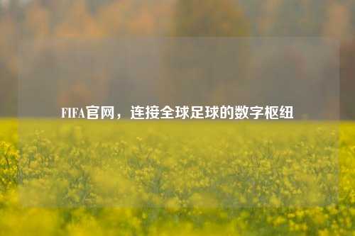 FIFA官网,连接全球足球的数字枢纽
