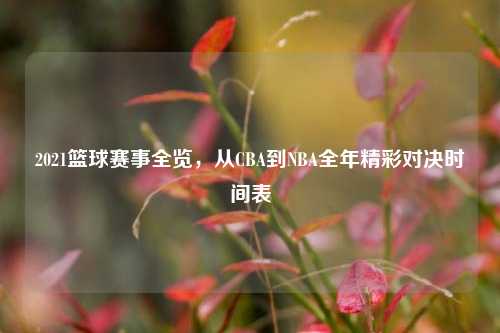 2021篮球赛事全览,从CBA到NBA全年精彩对决时间表