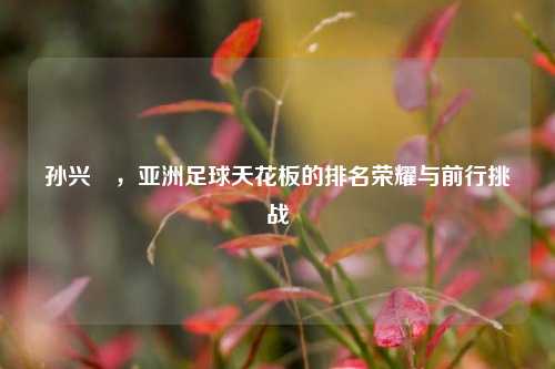 孙兴慜,亚洲足球天花板的排名荣耀与前行挑战