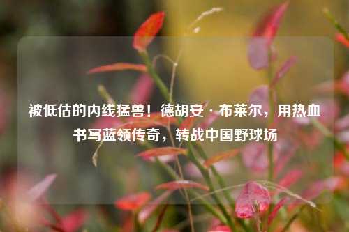 被低估的内线猛兽!德胡安·布莱尔,用热 写蓝领传奇,转战中国野球场