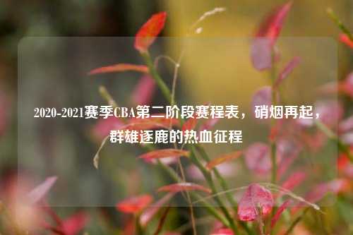 2020-2021赛季CBA第二阶段赛程表,硝烟再起,群雄逐鹿的热血征程