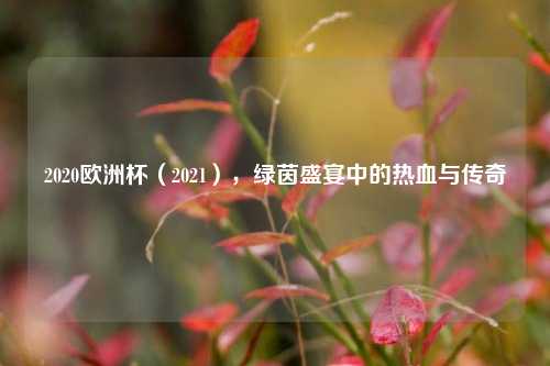 2020欧洲杯(2021),绿茵盛宴中的热血与传奇