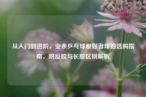 从入门到进阶,业余乒乓球爱好者球拍选购指南,附反胶与长胶区别解析