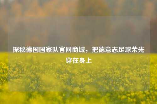 探秘德国国家队官网商城,把德意志足球荣光穿在身上