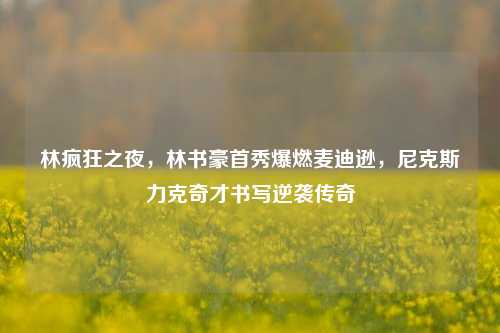 林疯狂之夜,林书豪首秀爆燃麦迪逊,尼克斯力克奇才书写逆袭传奇