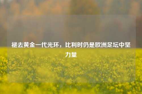 褪去黄金一代光环,比利时仍是欧洲足坛中坚力量