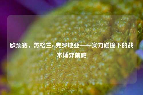 欧预赛，苏格兰vs克罗地亚——实力碰撞下的战术博弈前瞻