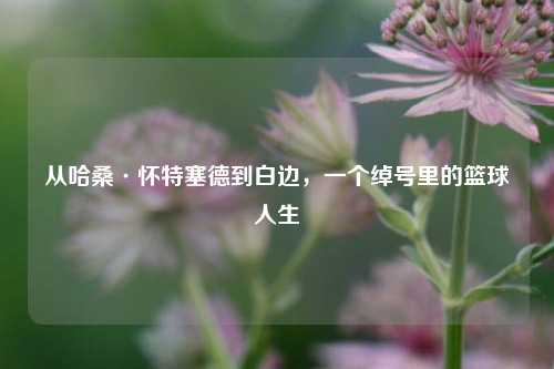 从哈桑·怀特塞德到白边,一个绰号里的篮球人生