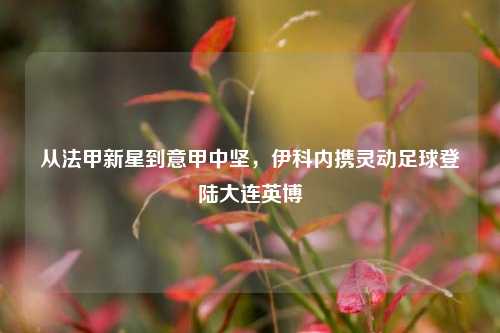 从法甲新星到意甲中坚,伊科内携灵动足球登陆大连英博