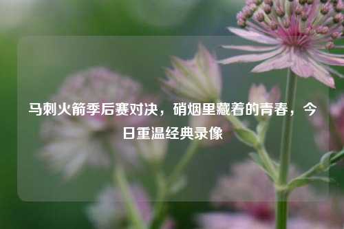 马刺火箭季后赛对决,硝烟里藏着的青春,今日重温经典录像