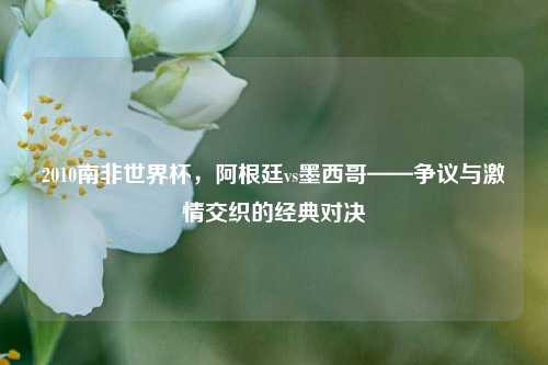 2010南非世界杯,阿根廷vs墨西哥——争议与 交织的经典对决