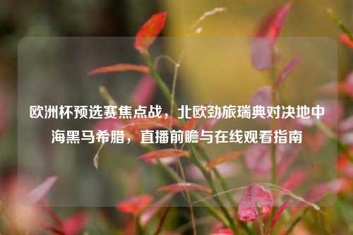 欧洲杯预选赛焦点战，北欧劲旅瑞典对决地中海黑马希腊，直播前瞻与在线观看指南
