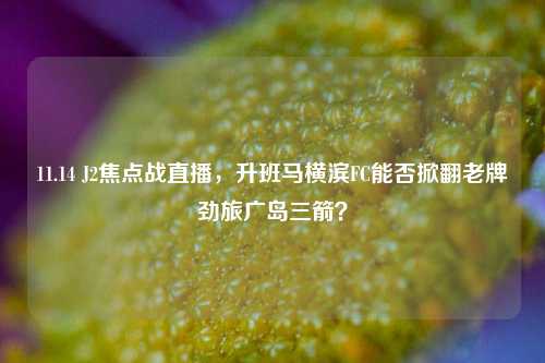 11.14 J2焦点战直播,升班马横滨FC能否掀翻老牌劲旅广岛三箭?