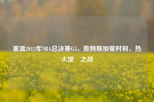 重温2012年NBA总决赛G5,詹姆斯加冕时刻,热火涅槃之战