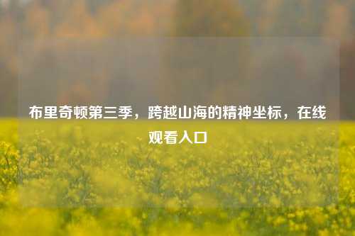 布里奇顿第三季,跨越山海的精神坐标,在线观看入口