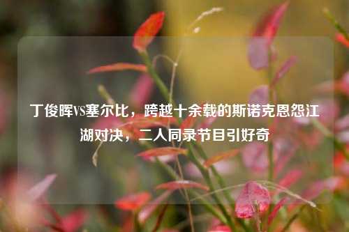 丁俊晖VS塞尔比,跨越十余载的斯诺克恩怨江湖对决,二人同录节目引好奇