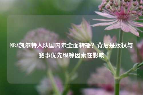 NBA凯尔特人队国内未全面转播?背后是版权与赛事优先级等因素在影响