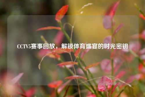CCTV5赛事回放,解锁体育盛宴的时光密钥