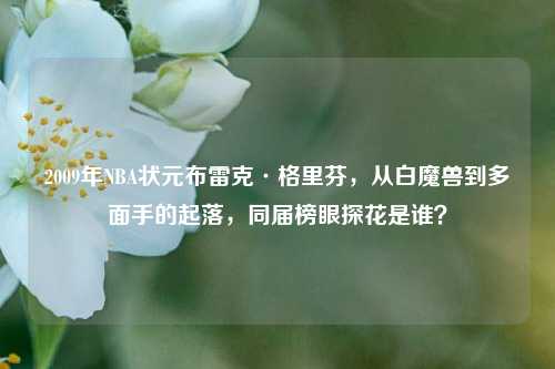 2009年NBA状元布雷克·格里芬,从白魔兽到多面手的起落,同届榜眼探花是谁?