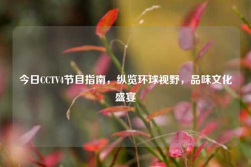 今日CCTV4节目指南，纵览环球视野，品味文化盛宴