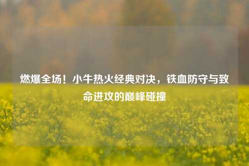 燃爆全场！小牛热火经典对决，铁血防守与致命进攻的巅峰碰撞