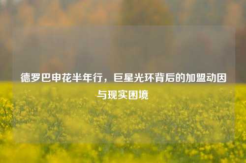德罗巴申花半年行,巨星光环背后的加盟动因与现实困境