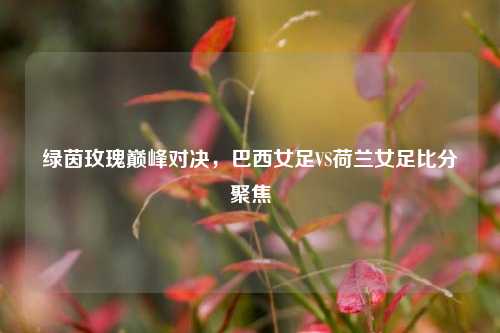 绿茵玫瑰巅峰对决,巴西女足VS荷兰女足比分聚焦