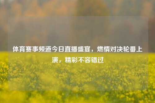 体育赛事频道今日直播盛宴，燃情对决轮番上演，精彩不容错过
