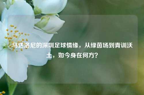 马达洛尼的深圳足球情缘,从绿茵场到青训沃土,如今身在何方?