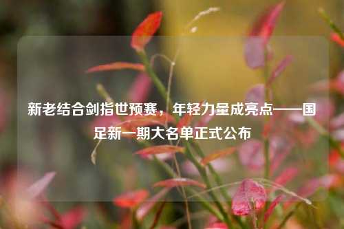 新老结合剑指世预赛,年轻力量成亮点——国足新一期大名单正式公布