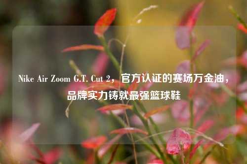 Nike Air Zoom G.T. Cut 2,官方认证的赛场万金油,品牌实力铸就最强篮球鞋