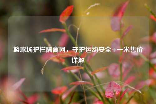 篮球场护栏隔离网,守护运动安全+一米售价详解