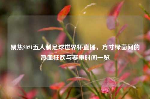 聚焦2021五人制足球世界杯直播,方寸绿茵间的热血狂欢与赛事时间一览
