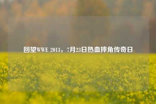 回望WWE 2013,7月23日热血摔角传奇日