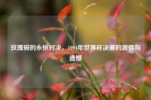 玫瑰碗的永恒对决，1994年世界杯决赛的     与遗憾