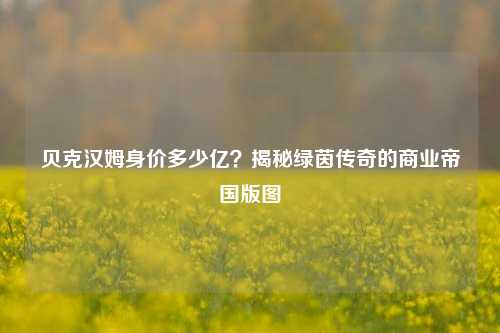 贝克汉姆身价多少亿?揭秘绿茵传奇的商业帝国版图