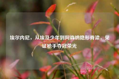 埃尔内尼，从埃及少年到阿森纳隐形脊梁，见证     夺冠荣光