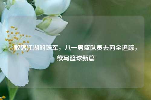 散落江湖的铁军,八一男篮队员去向全追踪,续写篮球新篇